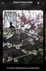 WhatsApp Image 2026-03-24 at 15.51.11(1).jpeg