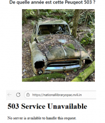 erreur 503.PNG