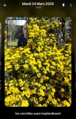 WhatsApp Image 2026-03-24 at 15.51.11.jpeg