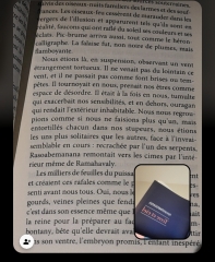 WhatsApp Image 2026-04-05 at 11.25.57.jpeg