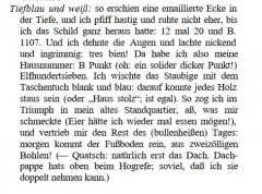 SchmidtVO.JPG